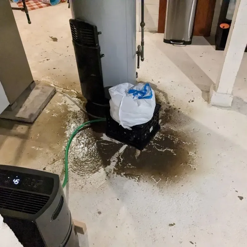 Sewage Backup Cleanup Service in Central Point, OR